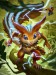 SkinArt_Ratatoskr_Default